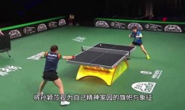 体育圈粉丝,激情燃烧的岁月，热血沸腾的追随