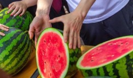 今日吃瓜全集完整版